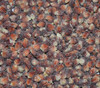 Floriani Red Flint Corn Seeds