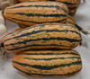 Delicata, Candystick Dessert Seeds