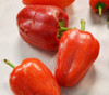 Red Belgium Pepper Seeds
