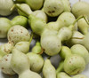 Bottle Gourd, Mini Seeds
