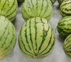 Dixie Queen Watermelon Seeds