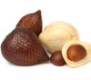 Salacca zalacca - Salak Palm Seeds