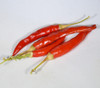 Thai Pepper, White