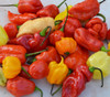 Super-Hot Pepper Mix