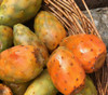 Opuntia ficus-indica - Abancay Orange Cactus Pear Seeds