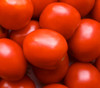 Saucy Lady Tomato Seeds