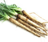 Mammoth Sandwich Island Salsify Seeds Mammoth Sandwich Island Salsify Seeds