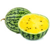 Yellow Petite Watermelon Seeds