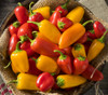 Lunchbox Pepper Mix Seeds