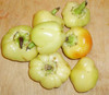 Paprika Pepper, Alma Paprika Seeds