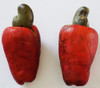 Anacardium occidentale - Red Cashew Apple Seeds