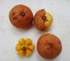 Baccaurea edulis - Mawoi Seeds