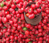 Dalle Khursani Pepper Seeds
