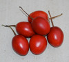 Cyphomandra betacea - Red Tree Tomato