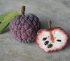 Annona squamosa 'Purple' - Purple Sugar Apple Seeds