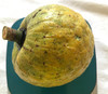 Annona salzmanii - Beach Sugar Apple Seeds