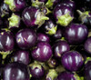 Round Purple Thai Eggplant Seeds