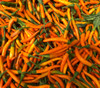 Orange Cayenne Pepper Seeds