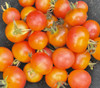 Napa Rose Tomato Seeds