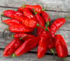 Maya Pimento Pepper Seeds Maya Pimento Pepper Seeds
