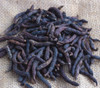 Xylopia aethiopica - Ethiopian Pepper Seeds
