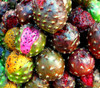 Stenocereus pruinosus - Gray Ghost Organ Pipe Cactus Seeds