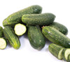 Ashley Cucumber Seeds