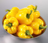 Sunbright Pepper Seeds