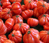 Oaxacan Pink Tomato Seeds Oaxacan Pink Tomato Seeds