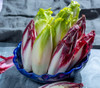 Endive, Gourmet Mix Seeds