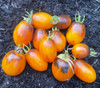 Atomic Sunset Tomato Seeds