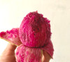 Stenocereus stellatus - Organ Pipe Cactus Rosa Mexicano Seeds