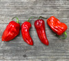 Naga Smooky Rainbow Pepper Seeds