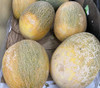 Sharlyn Melon Seeds