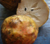 Annona reticulata - Yellow Orange Custard Apple