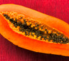 Carica papaya - Red Nemesis Papaya Seeds
