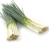 Tokyo Long White Bunching Onion Seeds