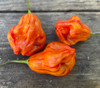 Tangerine Tiger Pepper Seeds
