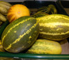 Madras Cucumber Seeds