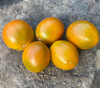 Evil Olive Tomato Seeds