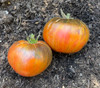 Blood Moon Tomato Seeds