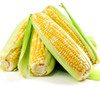 Ambrosia Bicolor Sweet Corn Seeds