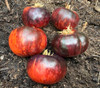Eye Candy Tomato Seeds