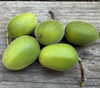 Passiflora trisecta - White Passion Flower Seeds