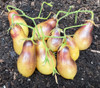 Marchenengel Tomato Seeds