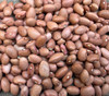 Pink Half Runner Bean Seeds