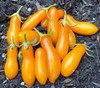 Starlight Grape Tomato Seeds