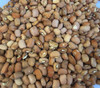 African Honey Bean Seeds