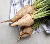 Sugar Beet Seeds