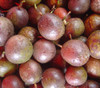 Passiflora edulis - Red Flamenco Passion Fruit Seeds